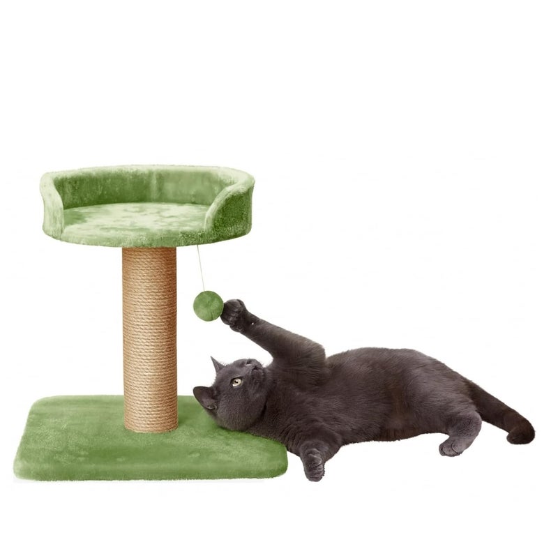 Catry , Cat Tree Hammock Bed with Natural Sisal Scratching Posts and Teasing Feather for Kitten (Green - 001) - Image 5
