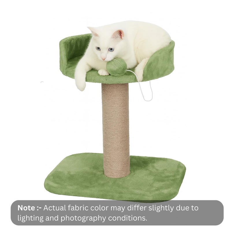 Catry , Cat Tree Hammock Bed with Natural Sisal Scratching Posts and Teasing Feather for Kitten (Green - 001) - Image 2