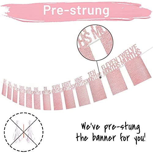 PartyHooman 1st Birthday Photo Banner for Baby from Newborn to 12 Months, 1st Birthday Decorations Girl Monthly Milestones Garland | 1 Year Old First Photo Banner Pre-strung with Frame (Rose Gold) - Image 2
