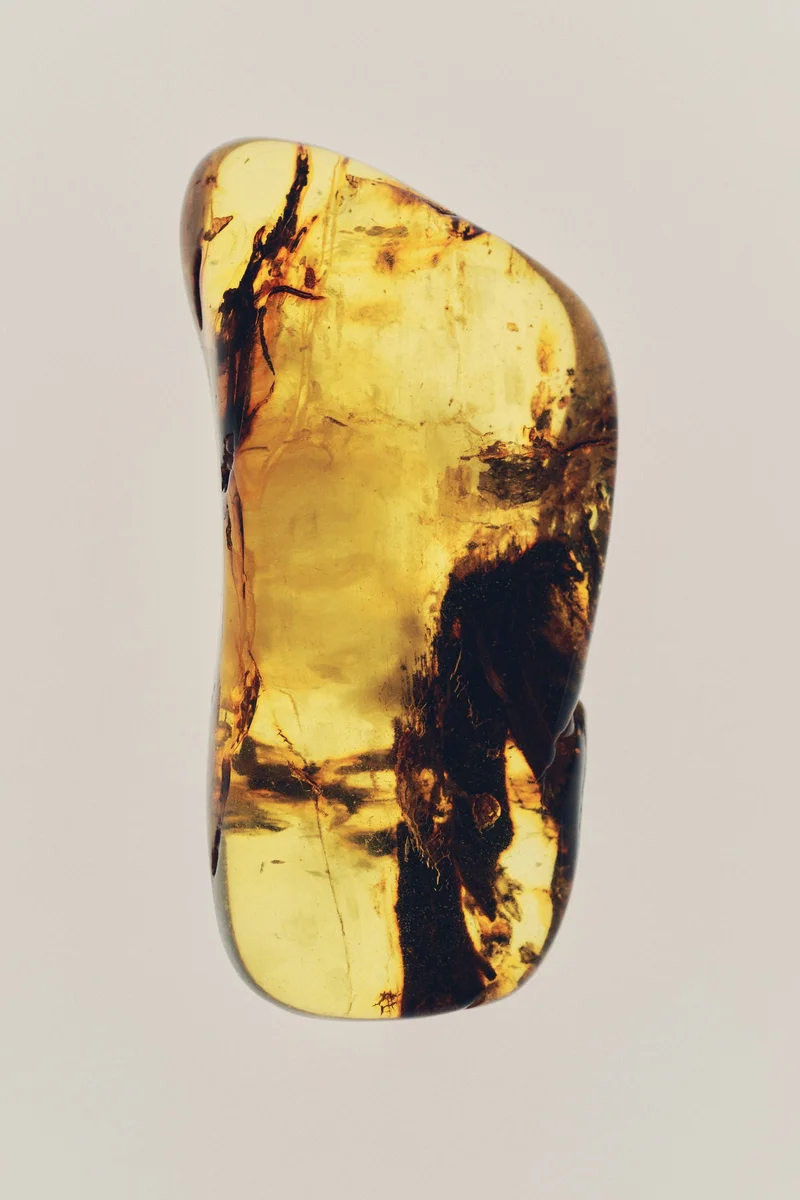 H&M Adventure Seeker Edt