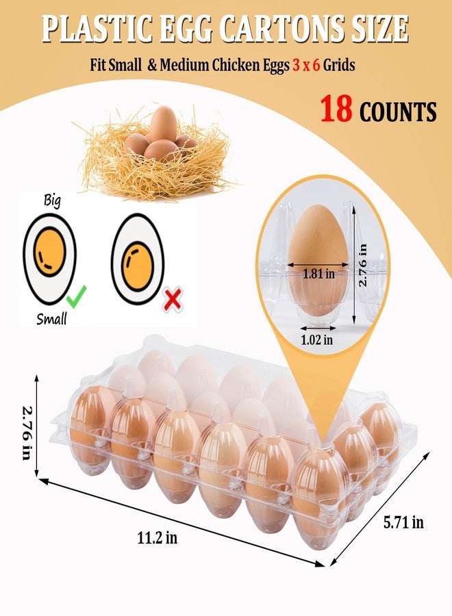 APOCHON 40 PCS Egg Cartons 18 Count, Clear Egg Cartons Cheap Bulk for Fresh Eggs, Reusable Plastic Empty Egg Cartons for Home and Farmer's Markets - 3x6 Grids Medium Egg Containers - Image 2