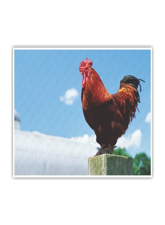 Anne Print Solutions® Rooster Bird Wall Poster (Without Frame) For Wall Poster Home Decor & Office Decor Pack Of 1 Pcs Size 13 Inch X 19 Inch* Multicolour - Image 1