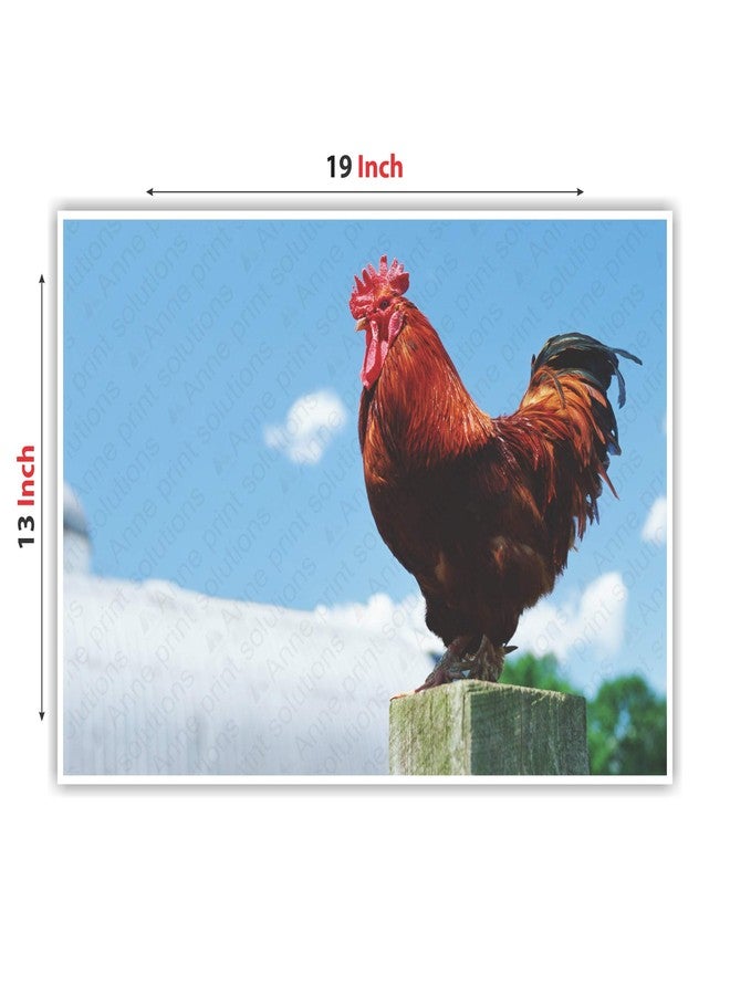 Anne Print Solutions® Rooster Bird Wall Poster (Without Frame) For Wall Poster Home Decor & Office Decor Pack Of 1 Pcs Size 13 Inch X 19 Inch* Multicolour - Image 2