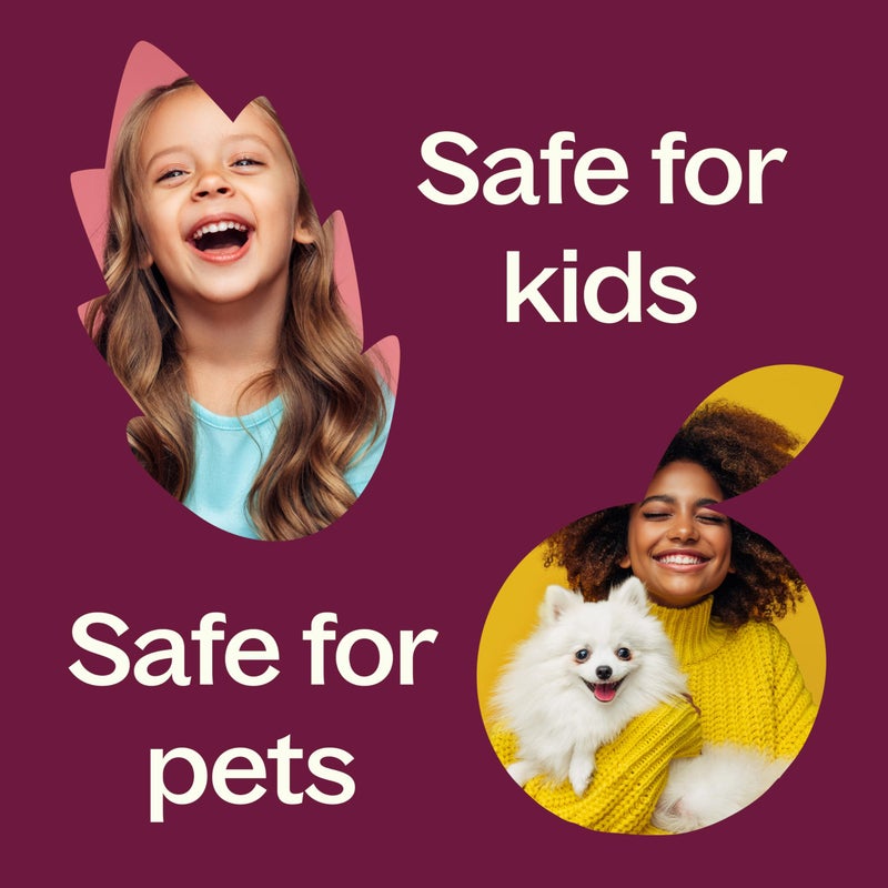 Plant Therapy Myrrh Essential Oil 100% Pure, Undiluted, Natural Aromatherapy, Therapeutic Grade 5 mL (1/6 oz) - Image 5