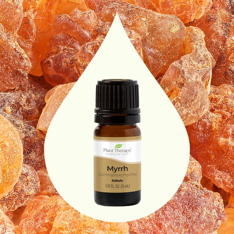 Plant Therapy Myrrh Essential Oil 100% Pure, Undiluted, Natural Aromatherapy, Therapeutic Grade 5 mL (1/6 oz) - Image 3