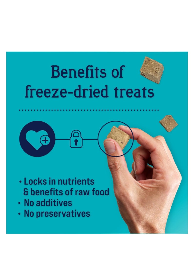 STEWART - Stewart Freeze Dried Dog Treats, Beef Liver, Salmon, Chicken Liver & Chicken Breast, 4 oz, 12 oz, 14 oz, 21 oz, Resealable Tub, Grain Free & Gluten Free, Single Ingredient, Dog Training Treats - Image 1
