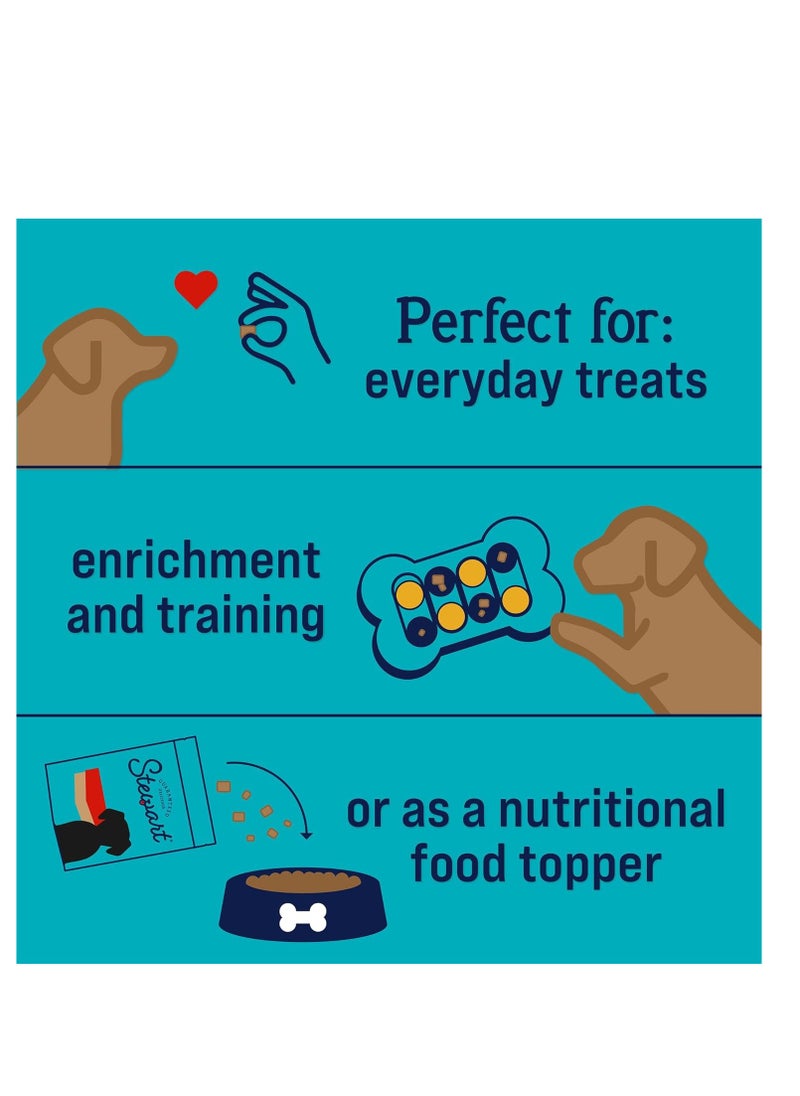 STEWART - Stewart Freeze Dried Dog Treats, Beef Liver, Salmon, Chicken Liver & Chicken Breast, 4 oz, 12 oz, 14 oz, 21 oz, Resealable Tub, Grain Free & Gluten Free, Single Ingredient, Dog Training Treats - Image 1