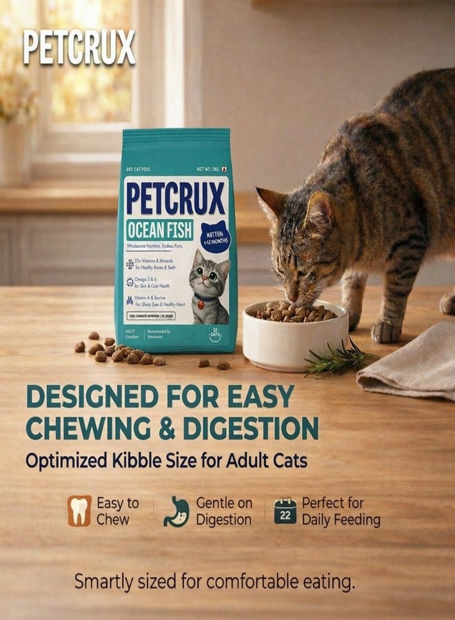 Petcrux Dry Kitten Cat Food, Ocean Fish Flavor, with Omega 3 & 6 and Taurine, Complete & Balanced Nutrition for Growing Kittens, 1 kg - Image 5