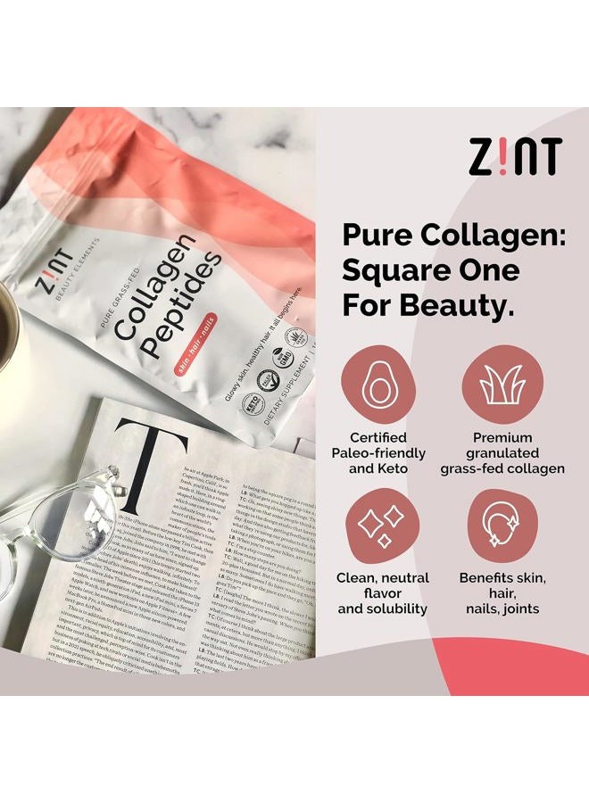 Zint مسحوق ببتيدات الكولاجين: معتمد بالباليو والكيتو - هيدروكسيلايت الكولاجين المجفف لامتصاص معزز - بروتين مهدرج إنزيمي للنساء والرجال، 16 أونصة - Image 3