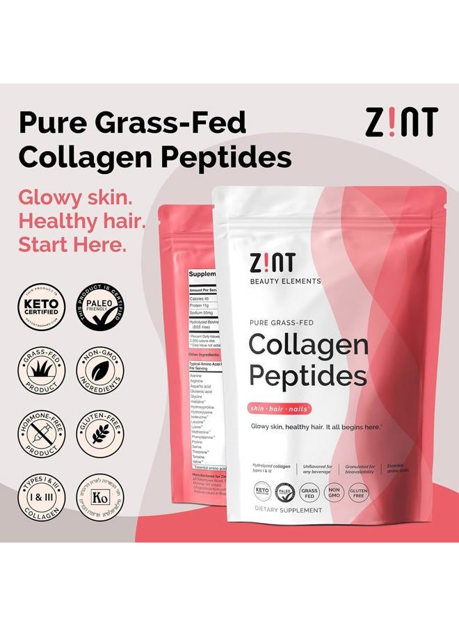 Zint مسحوق ببتيدات الكولاجين: معتمد بالباليو والكيتو - هيدروكسيلايت الكولاجين المجفف لامتصاص معزز - بروتين مهدرج إنزيمي للنساء والرجال، 16 أونصة - Image 2