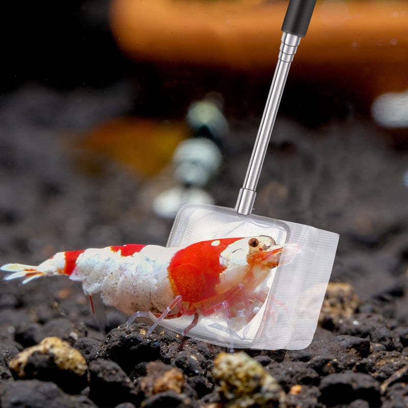 Shappy 4 Pieces Fish Tank Shrimp Net Extendable Handle Shrimp Net Stainless Steel Small Aquarium Catch Mesh with Adjustable Handle for Aquarium Fish Tank Pond(Black) - Image 5