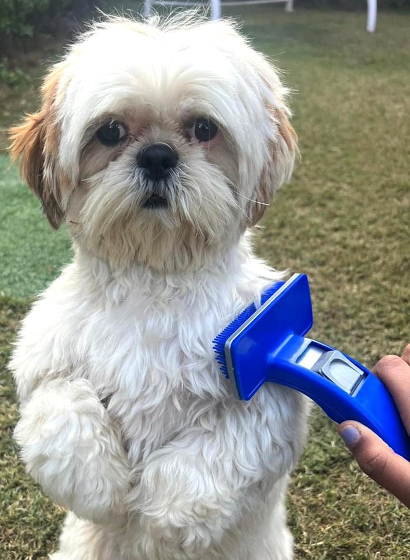 Large blue brush to repel hair loss - Image 4