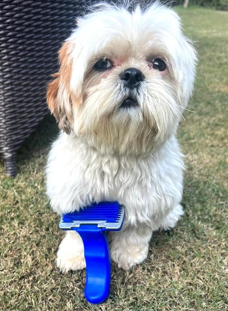 Large blue brush to repel hair loss - Image 3