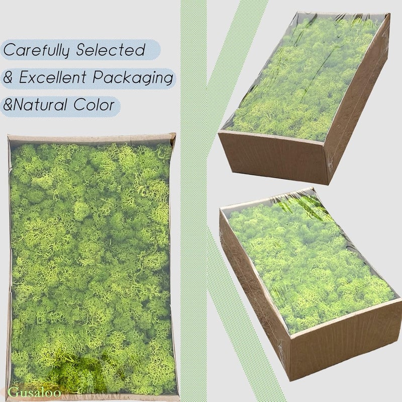 Gusaloo Preserved 1.1lb Moss Artificial Moss Natural Fresh Green Moss for Craft Handicraft Arts Floral Project Wall Decor Table Decor Wedding Centerpieces Garden Terrariums Decoration - Image 2