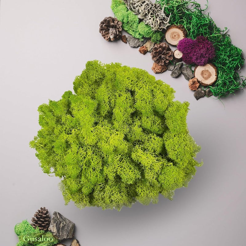 Gusaloo Preserved 1.1lb Moss Artificial Moss Natural Fresh Green Moss for Craft Handicraft Arts Floral Project Wall Decor Table Decor Wedding Centerpieces Garden Terrariums Decoration - Image 3