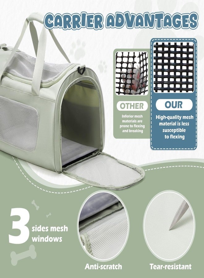 وي بلان حقيبة حمل القطط الكبيرة جدًا من WEPLAN، ذات جوانب ناعمة، معتمدة للسفر الجوي، حقيبة شبكية للحيوانات الأليفة للسفر في الهواء الطلق مع أحزمة كتف، حقائب حمل للقطط/الجراء/الكلاب حتى وزن 30 رطلاً، أخضر - Image 3