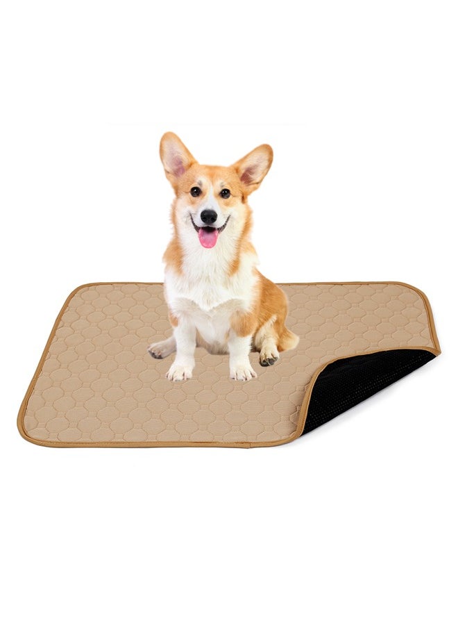 Neostyle Neostyle Reusable Washable Dog Pee Pad Beige  - Image 1