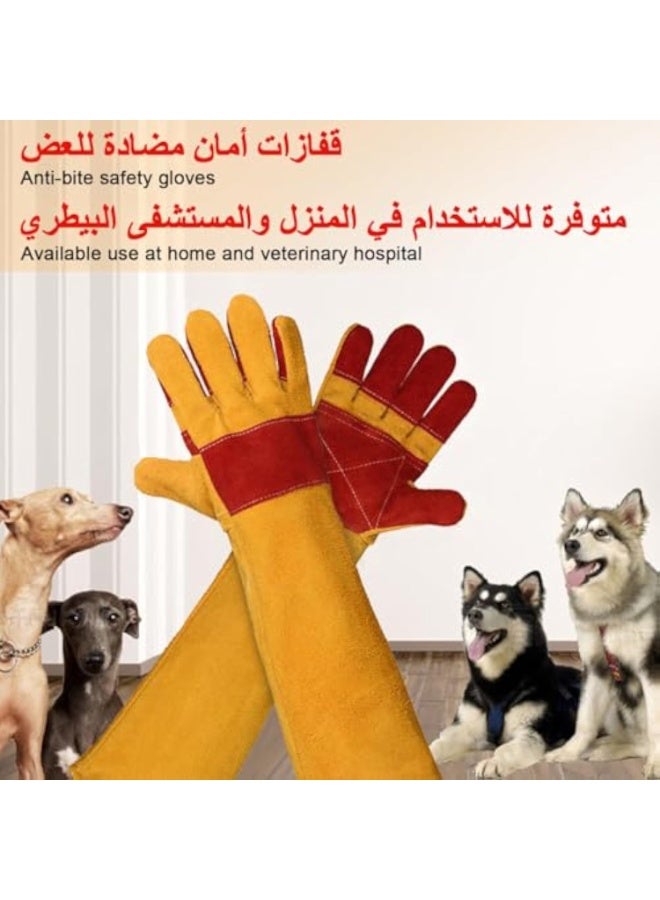 Arabest Anti-Bite Safety Gloves, Animal Handling Gloves Bite Proof Ultra Long Leather Scratch Protective Glove Safety Work Gloves for Training Dogs Cat Bird Snake Parrot Lizard Wild Animals Reptiles - Image 3