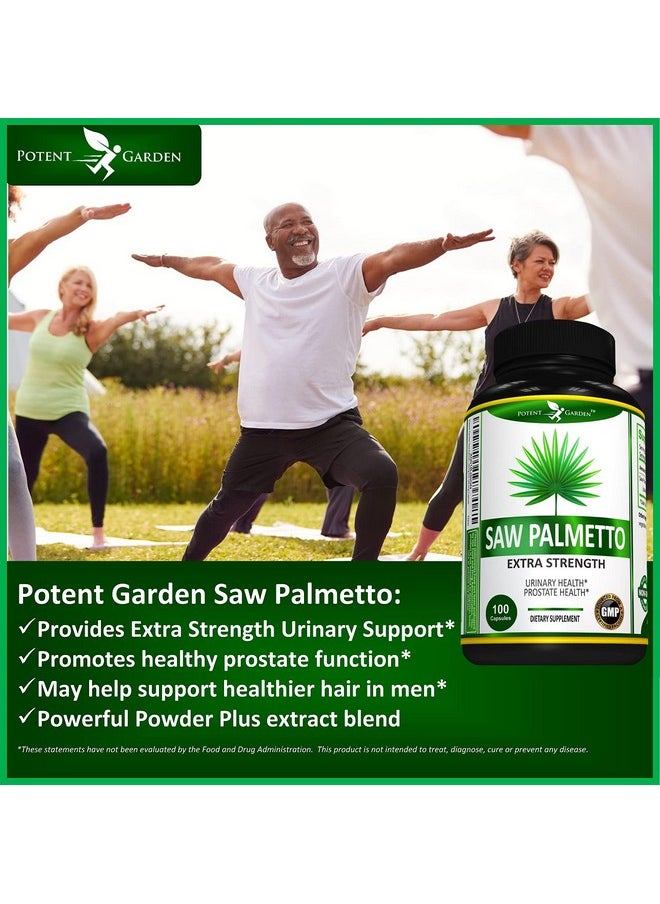 Potent Garden - Saw Palmetto 500 Mg Prostate Supplements For Men Supports Healthy Urination Frequency  Flow Non Gmo 100 Saw Palmetto Capsules - Image 1