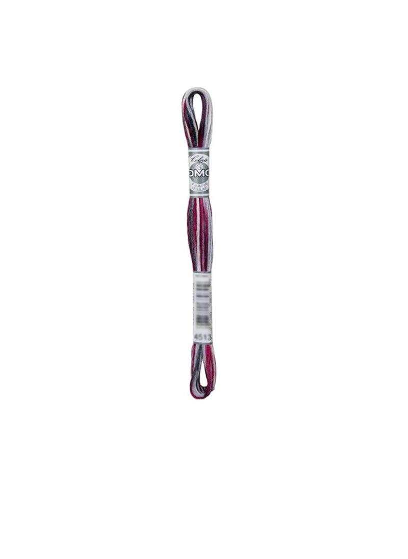 DMC DMC Coloris 6-Strand Embroidery Cotton Floss 8.7yd London  - Image 2