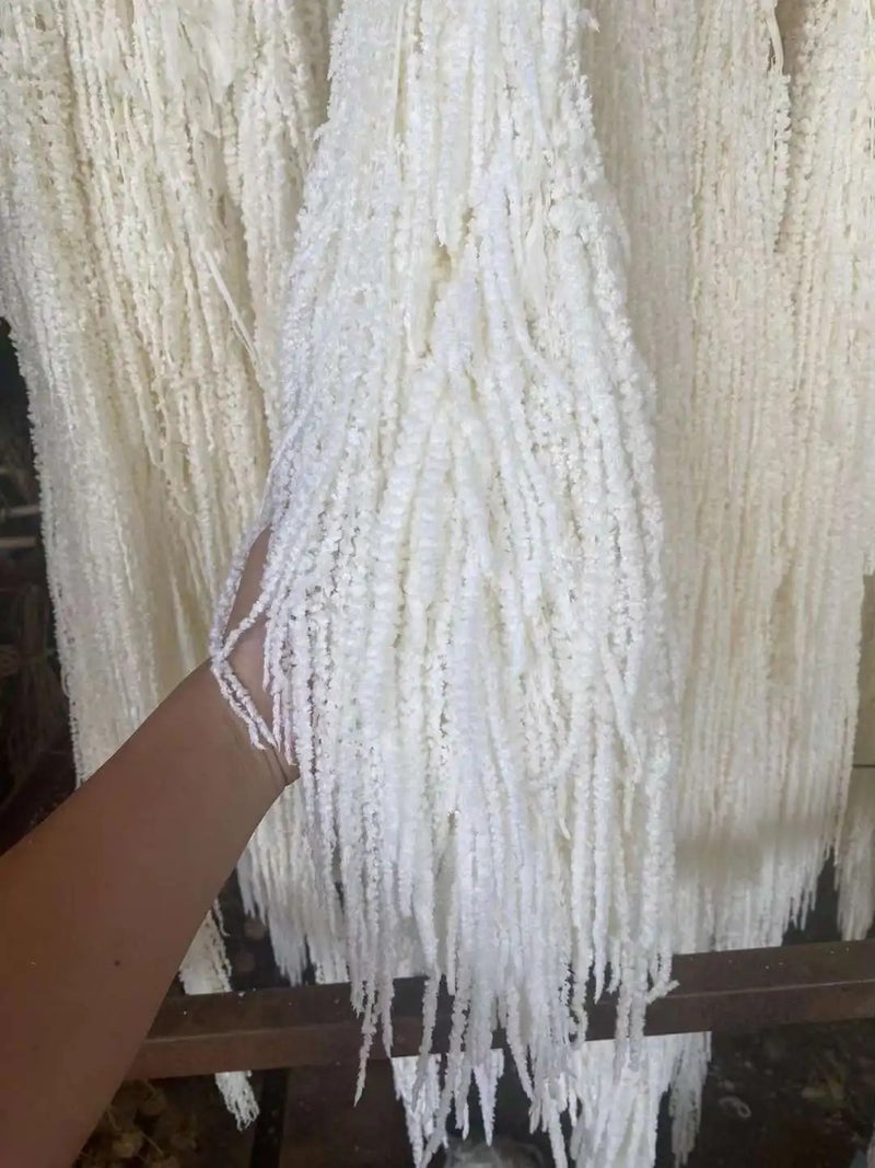 Bluejw High Quality 5pcs Natural Dried Amaranth (Amaranthus Caudatus) – Long-Lasting Preserved Hanging Dried Plants for Wedding, Graduation & Home Decor - Image 4