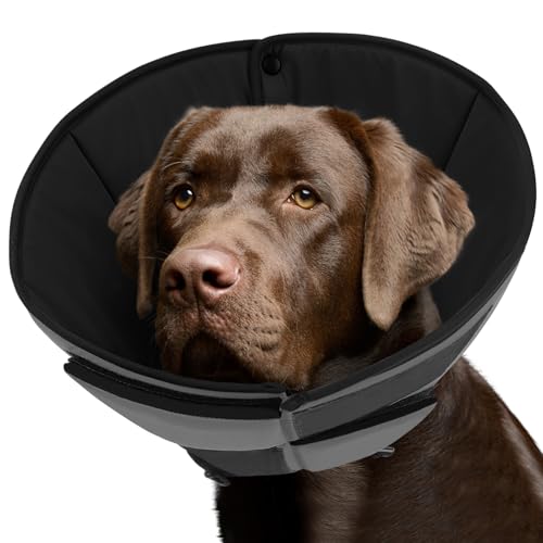 Queenmore Dog Cones for Large Dogs, Soft Dog Cone for Large Breeds, Cone for Dogs After Surgery, Adjustable Elizabethan Collar for Pet to Prevent Licking Wounds, Grey L - Image 1
