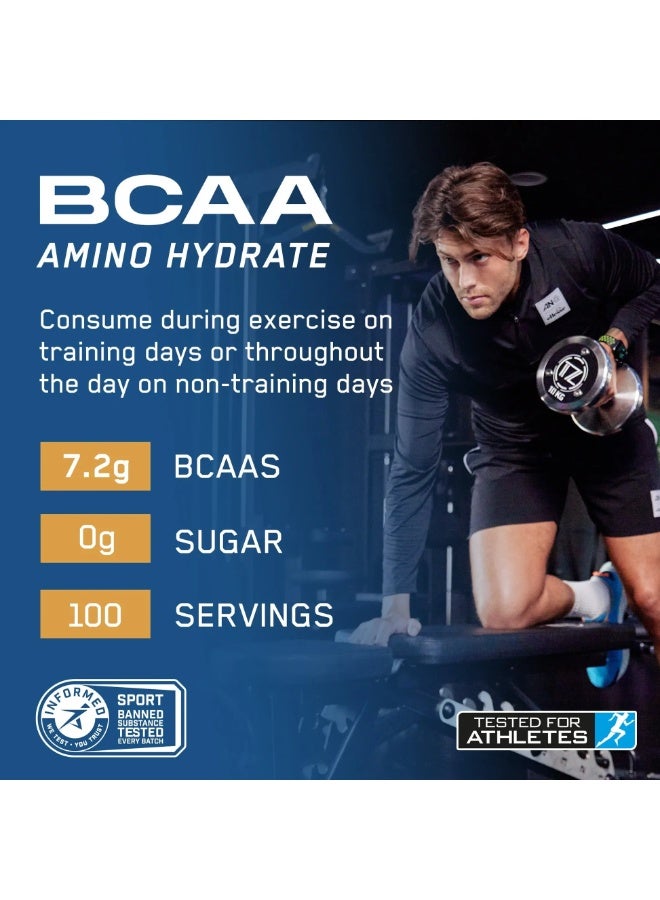 أبلايد نيوتريشن أبلايد نيوترشن BCAA أمينو هايدريت – نكهة الأناناس – 450 جم - Image 2
