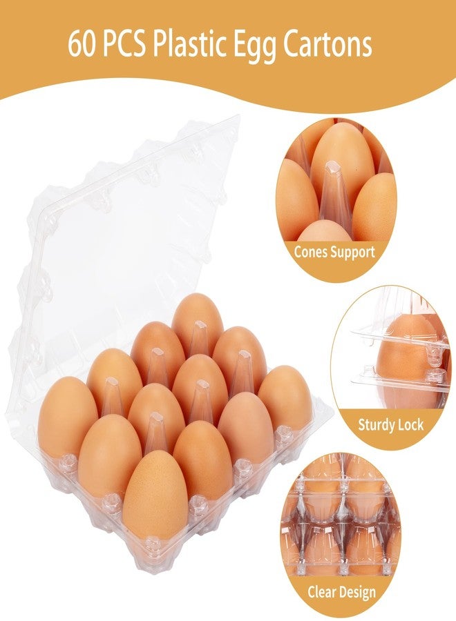 GRRONZEE 60 Pack Plastic Egg Cartons Cheap Bulk 1 Dozen Clear Empty Egg Cartons for Chicken Eggs, Reusable Egg Containers for Home Ranch Chicken Farm, Commercial Business Market Display, 3x4 Grids, Large - Image 3
