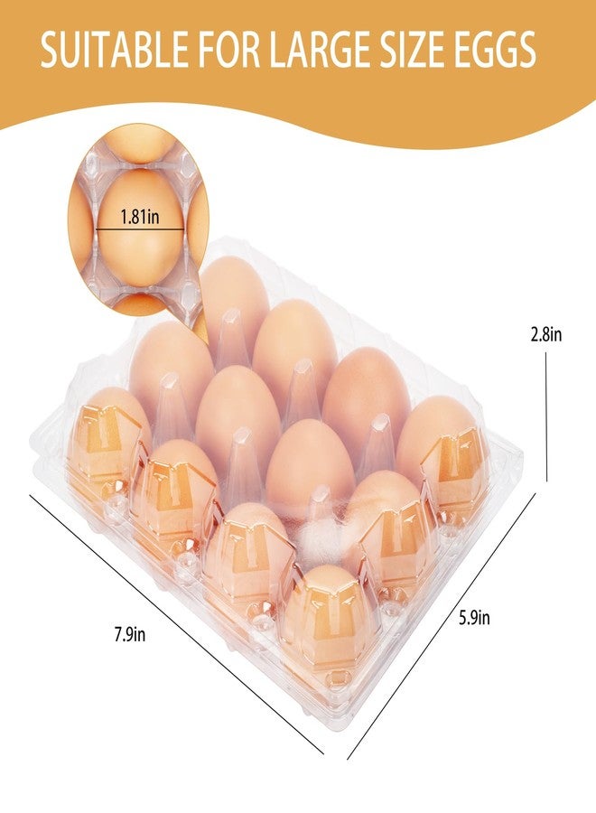 GRRONZEE 60 Pack Plastic Egg Cartons Cheap Bulk 1 Dozen Clear Empty Egg Cartons for Chicken Eggs, Reusable Egg Containers for Home Ranch Chicken Farm, Commercial Business Market Display, 3x4 Grids, Large - Image 2