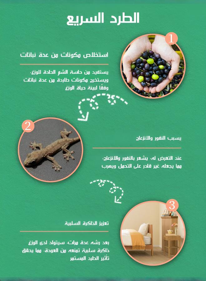 رذاذ سحري فعال لطرد الوزغ - Image 4