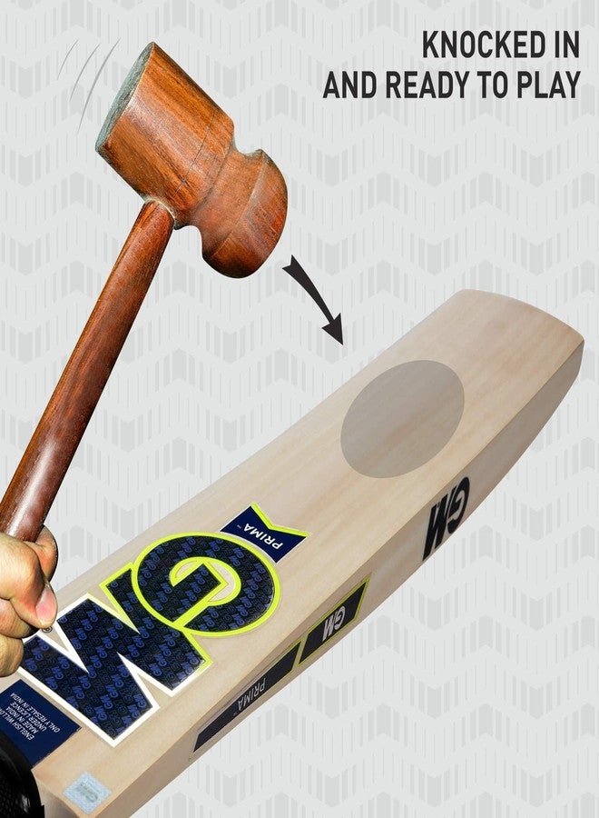 GM Prima 303 English Willow Short Handle Cricket Bat Size-3 - Image 4