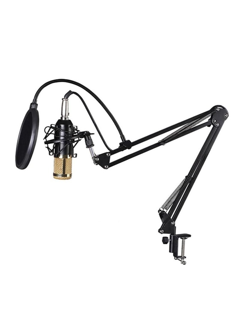 ELTRAZONE - MIRHA Elite V9 Sound Card & BM800 Pro Microphone Bundle for Advanced Broadcasting - Image 1