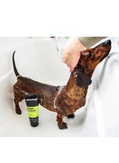 Deep Clean Intensive Dog Shampoo 250ml 250 g - pzsku/Z0E91E20D70BFD4CABACAZ/45/_/1739363555/7a327fe9-5ed2-453a-9413-90d9070c364d