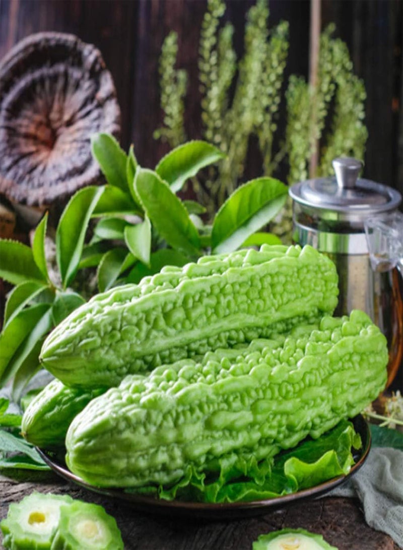 جي جوت 50 قطعة من بذور القرع المر، خضراء غير معدلة وراثيًا، عشبة متسلقة، بذور خضروات طازجة، زراعة داخلية وخارجية، حديقة منزلية، ديكور شرفة - Image 1