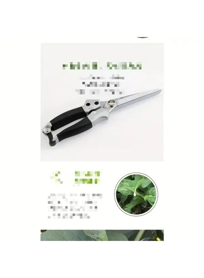 Silvery Extended Blade Pruning Shears For Harvesting Fruits Thinning Branches Flower Pruning - Image 4