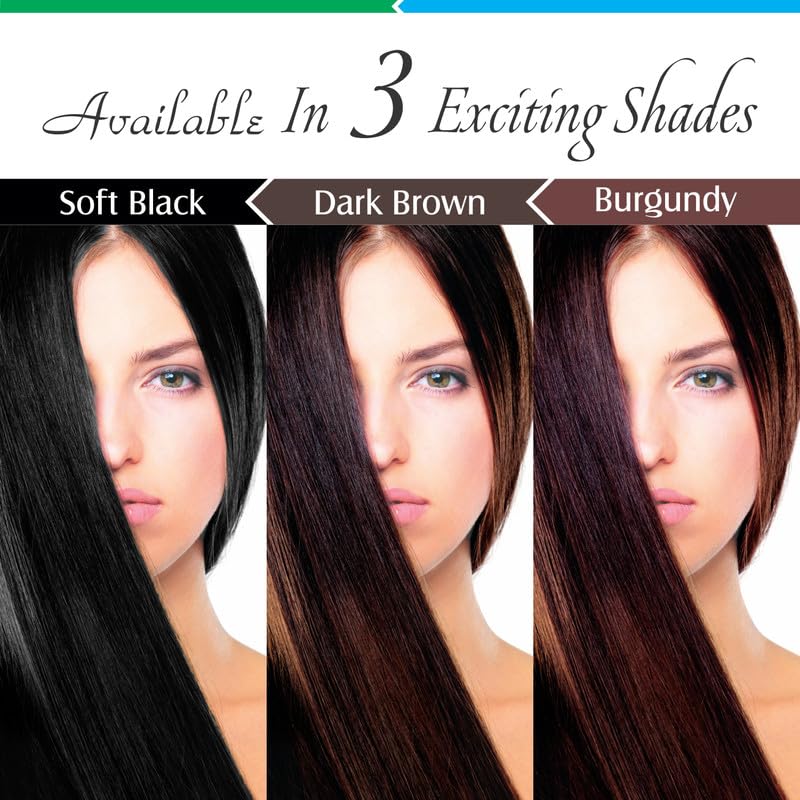 Vegetal Safe Hair Color Soft Black 100gm Pack of 4 Certified Organic Chemical and Allergy Free Bio Natural Hair Color with No Ammonia Formula for Men Women - Image 5