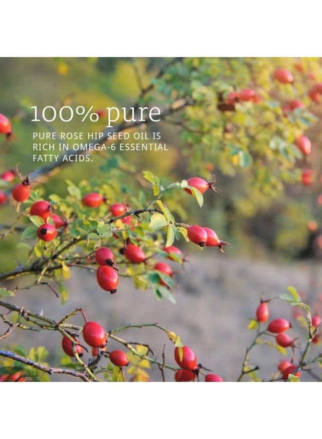 ناو فودز زيت بذور ثمر الورد - Image 3