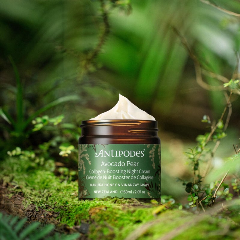 Antipodes Avocado Pear Nourishing Night Cream ? Anti Aging Cream & Plumping Anti Wrinkle Cream ? Reduce Dryness with Avocado Oil & New Zealand Manuka Honey ? Dry Skin & Mature Skin ? 60ml, 2 fl. Oz - Image 2