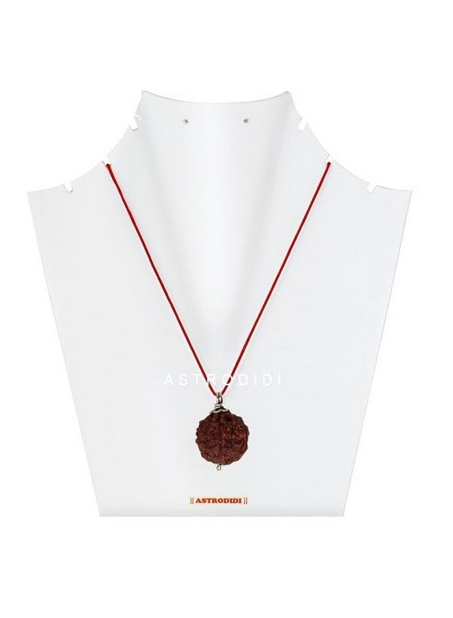 ASTRODIDI 6 Mukhi Rudraksha Pendant with Lab Certificate | Nepali Six Face Original Rudraksh | Astrological Benefits | Unisex Design for Men & Women Boys and Girls - Image 3