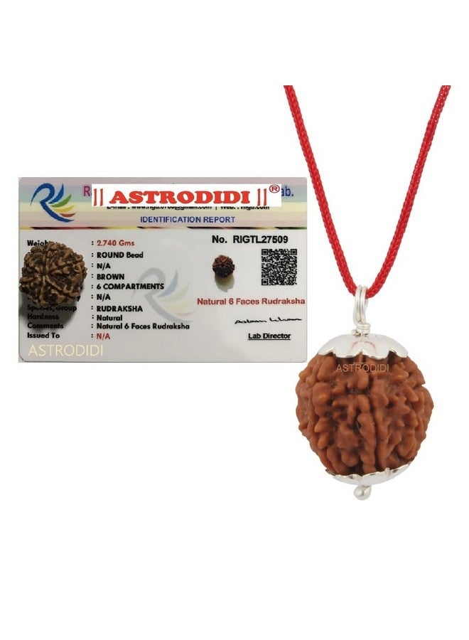 ASTRODIDI 6 Mukhi Rudraksha Pendant with Lab Certificate | Nepali Six Face Original Rudraksh | Astrological Benefits | Unisex Design for Men & Women Boys and Girls - Image 1