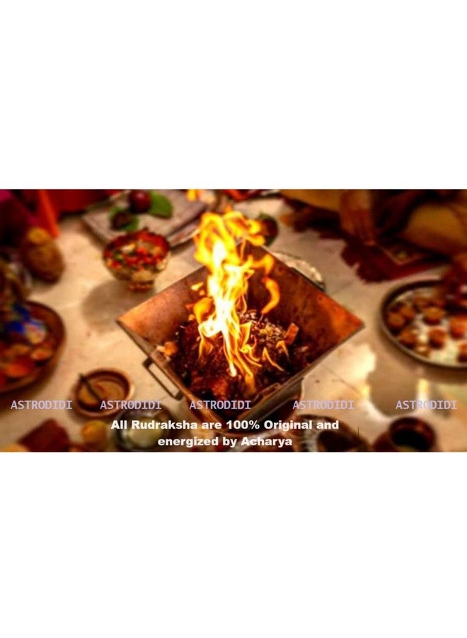 ASTRODIDI 6 Mukhi Rudraksha Pendant with Lab Certificate | Nepali Six Face Original Rudraksh | Astrological Benefits | Unisex Design for Men & Women Boys and Girls - Image 5