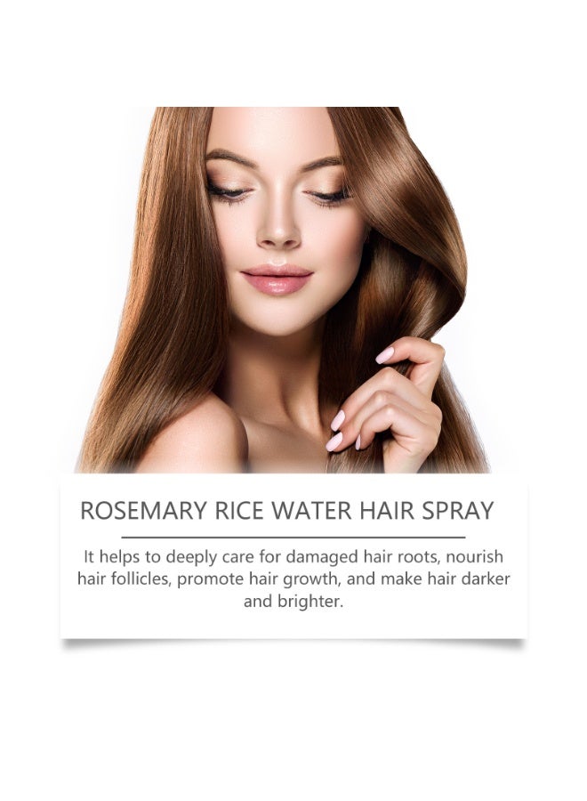 HOEGOA Espray de agua de romero para el crecimiento y la regeneración del cabello debilitado con menta, biotina, tratamiento capilar para hombres y mujeres, 6.8 onzas líquidas | Leave In Conditioner, Root Enhancer, Korean Scalp Treatment, Anti-Itch & Hair Strengthening Spray Suitable for Women & Men - Image 2