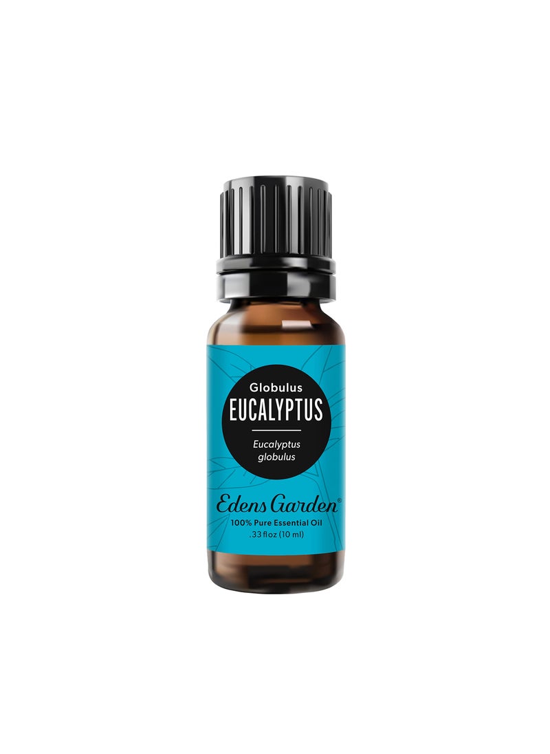 Edens Garden Edens Garden Eucalyptus  Globulus Essential Oil 100 Pure Premium Grade Undiluted Natural Therapeutic Aromatherapy The Best for Diffuser Candle Hair Humidifiers 10 ml 33 fl oz 