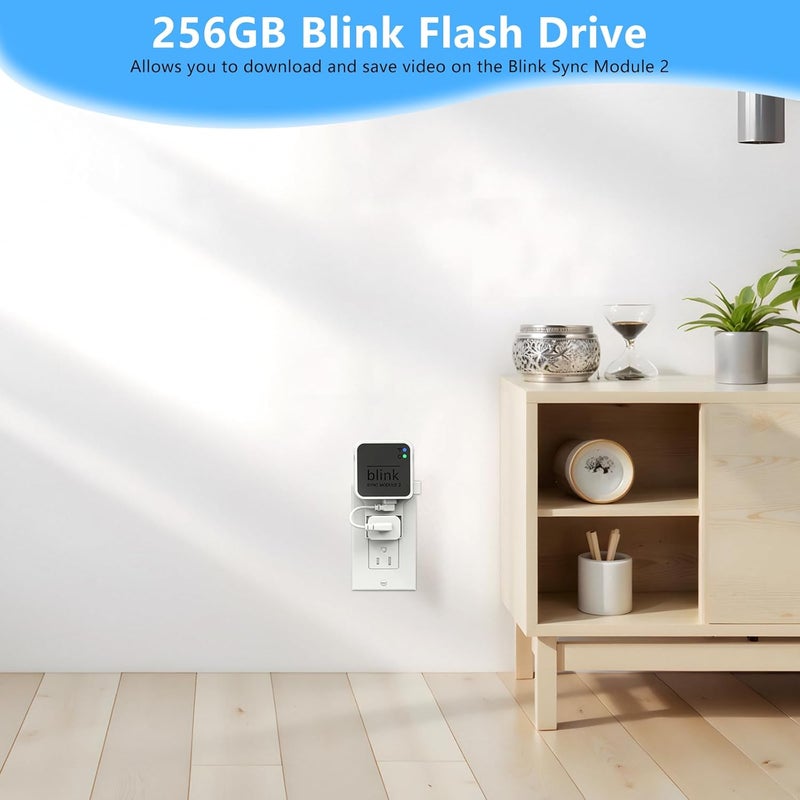 256GB Blink USB Flash Drive with Outlet Wall Mount for Blink Sync Module 2, Space Saving Mounting Bracket Holder for Blink Outdoor & Indoor Security System (Sync Module 2 is NOT Included),White - Image 4