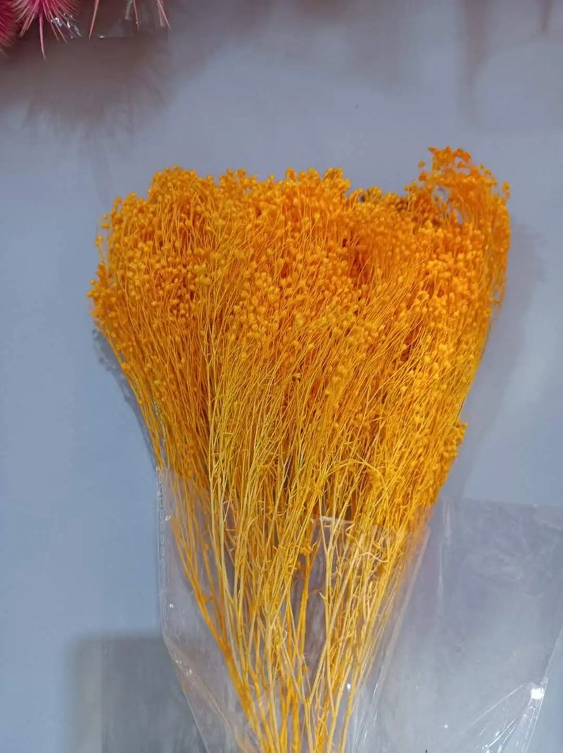 Bluejw Yunnan Dried Broom Bloom Flowers 50g Bunch, Real Natural Preserved Dried Plants for Home Events Decor - Image 1