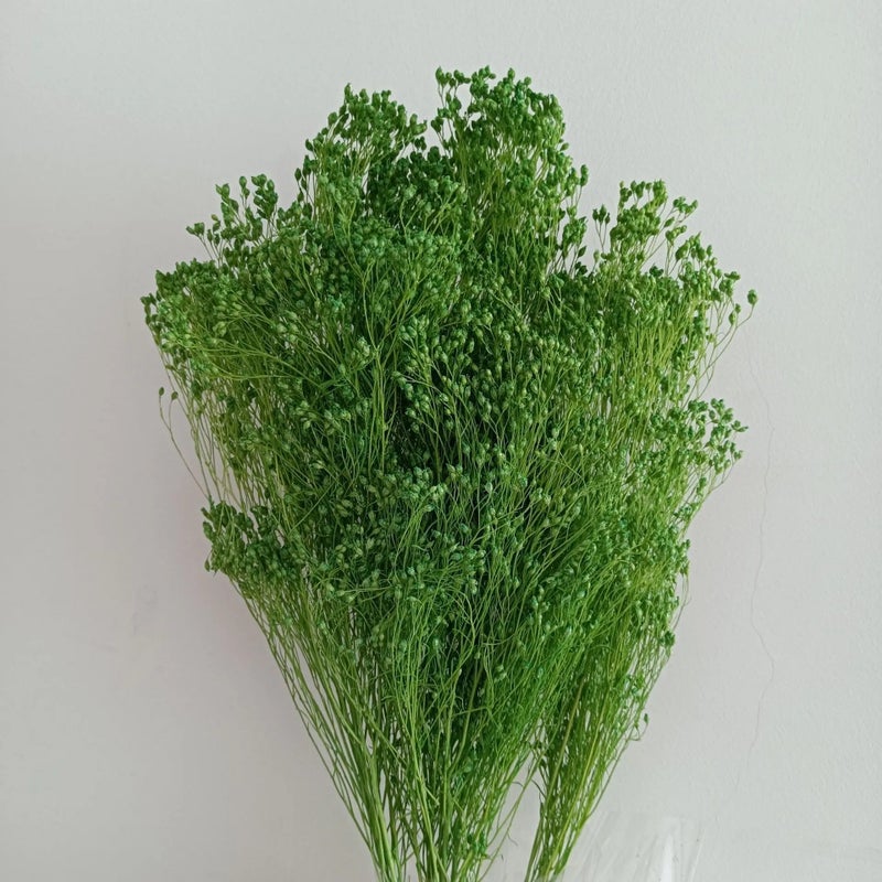 Bluejw Yunnan Dried Broom Bloom Flowers 50g Bunch, Real Natural Preserved Dried Plants for Home Events Decor - Image 2