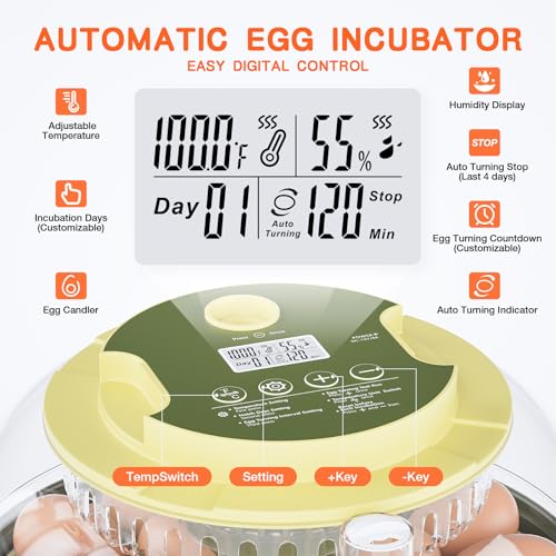 Etegow 18 Egg Incubator, Incubator for Hatching Eggs, Automatic Egg Turning and Humidity Temperature Control, Egg Candler, Hatch Day, Automatic Water Refill, for Chicken, Ducks, Quail, Goose, Pigeon - Image 2