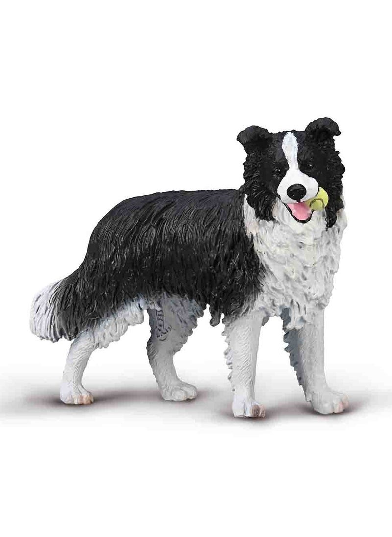 CollectA Collecta - Border Collie Dog - 80012 