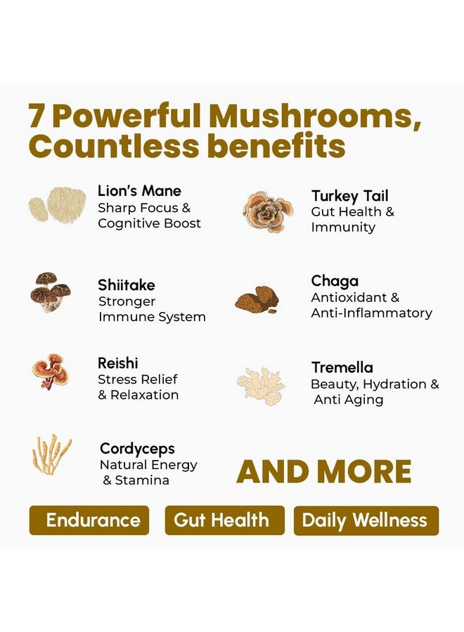 Rooted Actives 7 Mushrooms Complex (60 g) extract powder | for Heart, Liver, Gut, Energy & Immunity (USDA organic, 30% Beta Glucans - Image 3