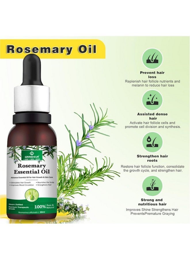 جراندور زيت إكليل الجبل العطري لنمو الشعر والتحكم في تساقط الشعر وتغذية فروة الرأس، نقي 100%، طبيعي، للعناية بالبشرة، 90 مل (عبوة من 3 قطع) - Image 2